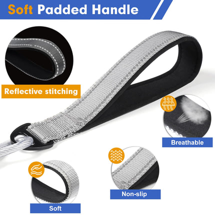 Libbipaw 6ft Metal Chew Proof Leash for Medium and Large Dogs with Reflective Comfortable Padded Handle, Silver