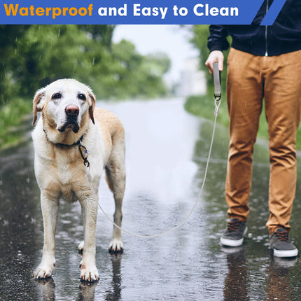 Libbipaw 6ft Metal Chew Proof Leash for Medium and Large Dogs with Reflective Comfortable Padded Handle, Silver