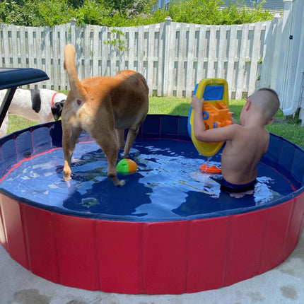 V-HANVER Dog Pool Pets Bathing Tub Plastic Wading Kiddie Pool for Medium and Large Dogs Kids - Portable Foldable Collapsible, 95 X 12 inch