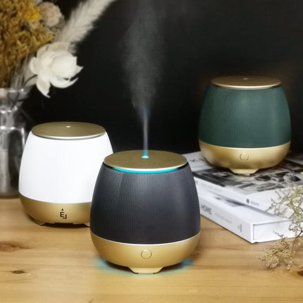 Earnest Living Essential Oil Diffusers 150ml for Essential Oils for diffusers for Home, Plastic Aromatherapy Diffuser with USB Cable, Diffuser waterless auto Off and 7 Color Changing Scent Diffuser