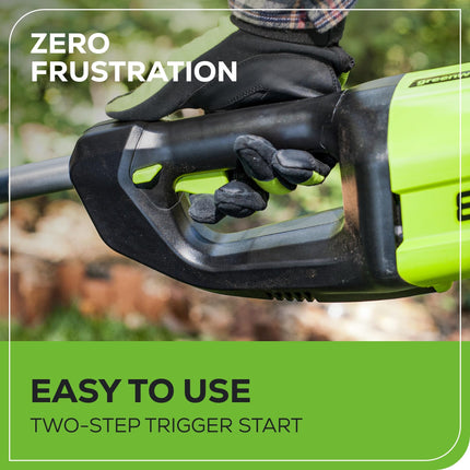 Greenworks 80V 10" Cordless Polesaw, 2.0Ah Battery and Charger Included PS80L210