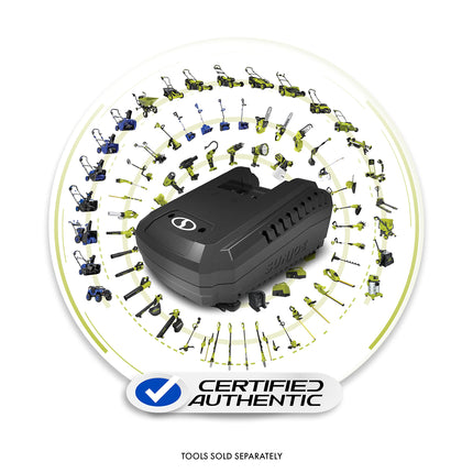Sun Joe 4V iON+ Quick Charge Dock for iBAT24 and 24VBAT Series Batteries-24VCHRG-QC