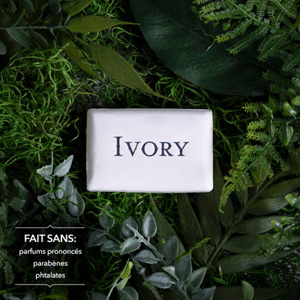Ivory Bar Soap Notes of Aloe, 900 g Total (10 Count of 90 g Each)