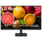 Computer Monitor