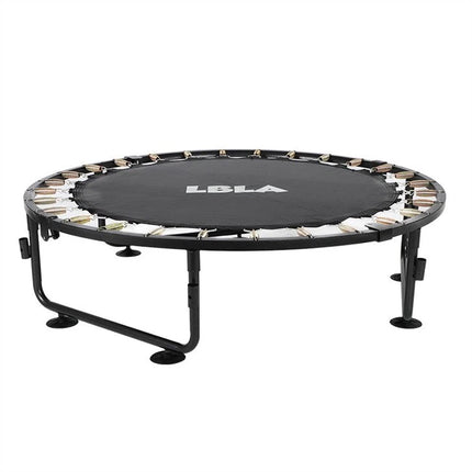 LBLA 48 inch trampoline with enclosure for adults