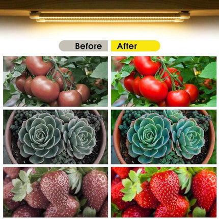Plant Growing Lamps LED Grow Light Strips