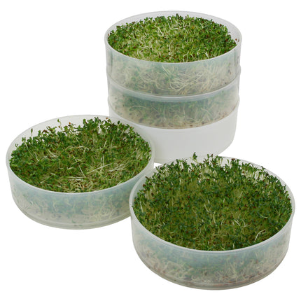 New, Kitchen Crop 4-Tray Sprouter by Victorio