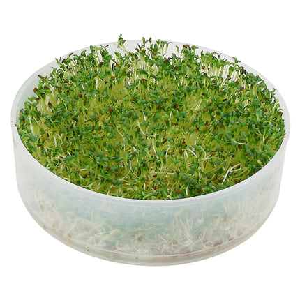 New, Kitchen Crop 4-Tray Sprouter by Victorio